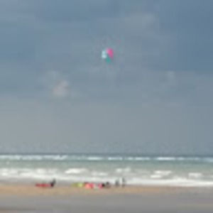 Meet your Posher, Benjamin